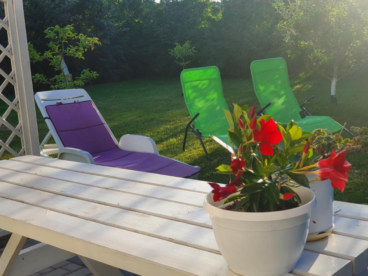 Apartament Nad Jeziorem Welle Колчево Екстер'єр фото